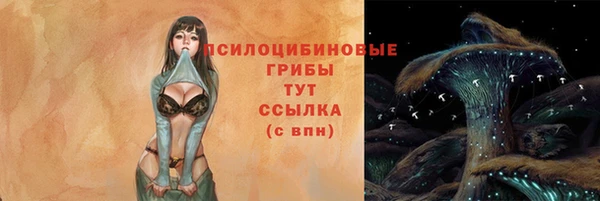 дурь Белокуриха