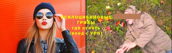 дурь Белокуриха