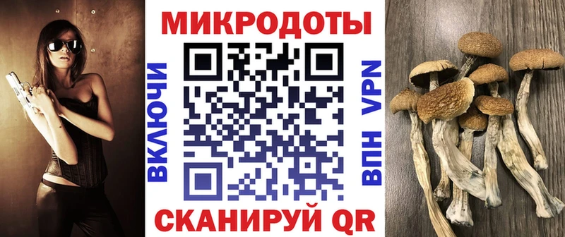 Псилоцибиновые грибы MAGIC MUSHROOMS  Купить  Белорецк 